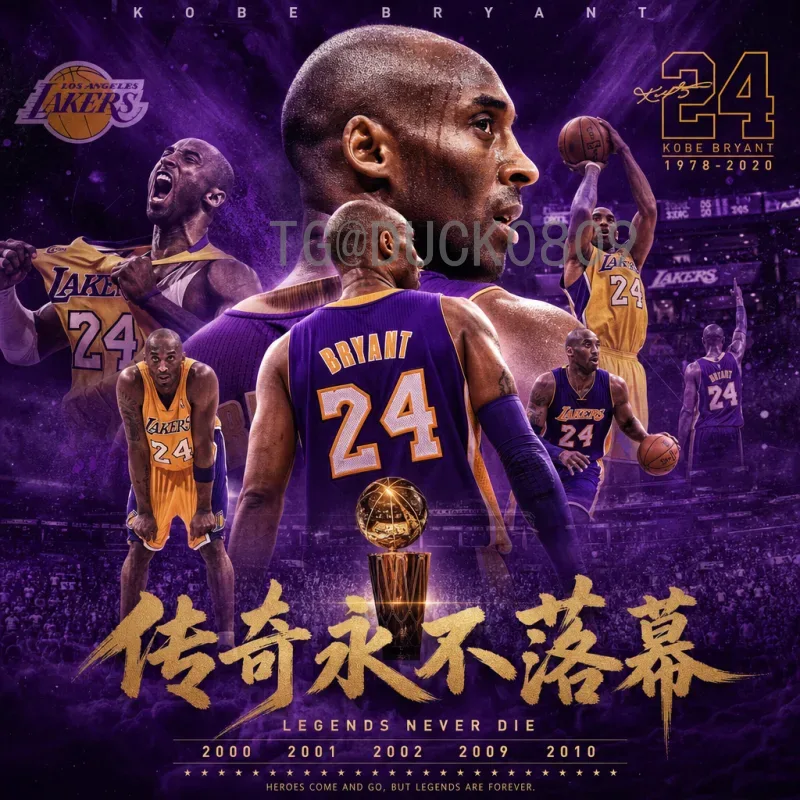 实时2026世界杯积分榜一览：预选赛最新出线形势分析